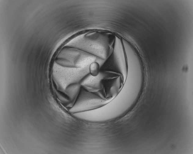 X0000113630884200910091554