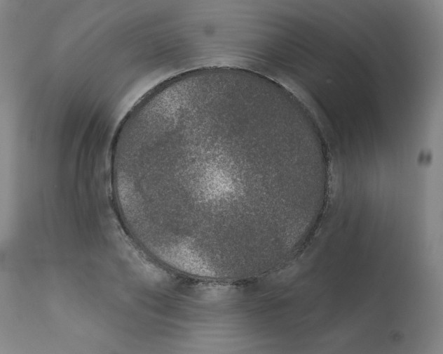 X0000113630886200910091553
