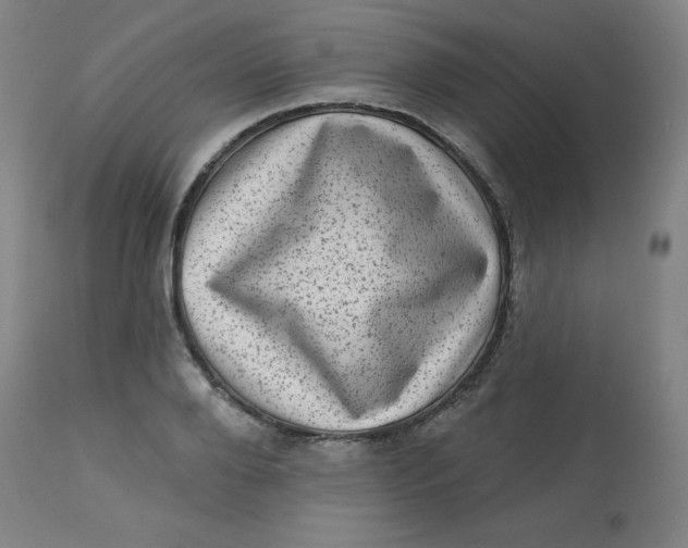 X0000113630888200910091553