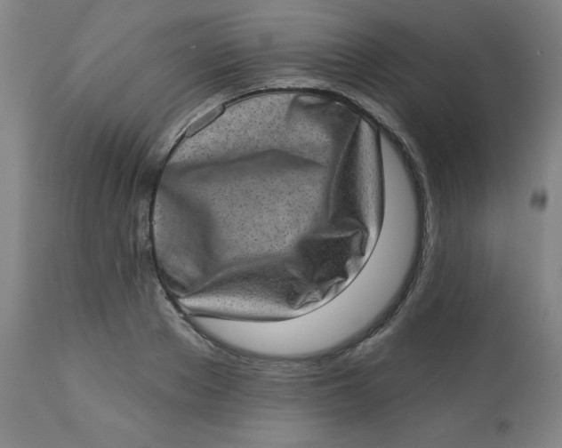 X0000113630889200910091553