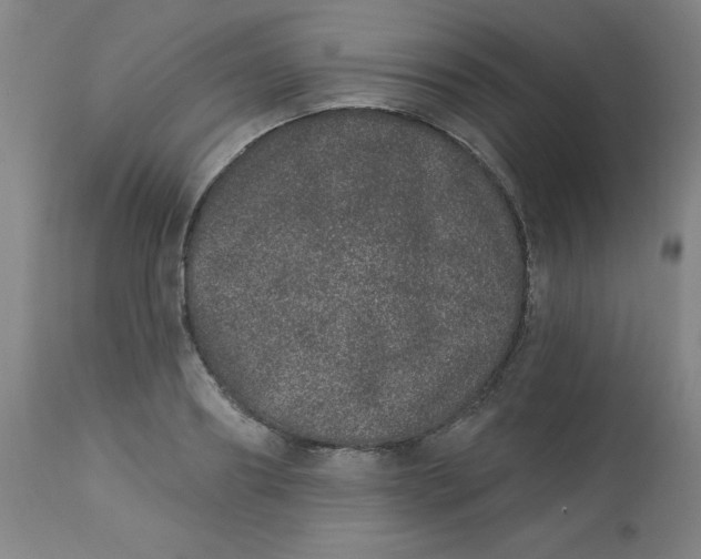 X0000113630890200910091553