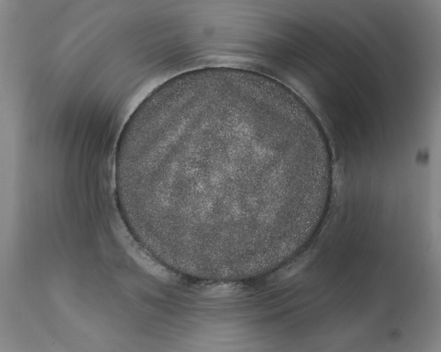 X0000113630891200910091553