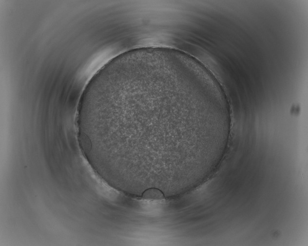 X0000113630893200910091553