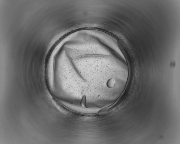 X0000113630894200910091553