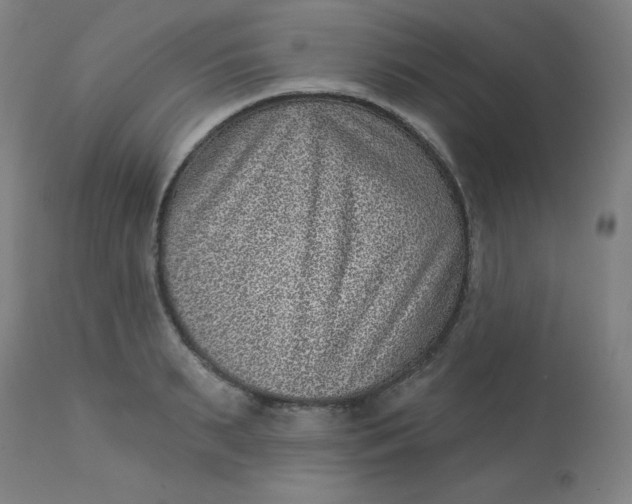 X0000113630895200910091553