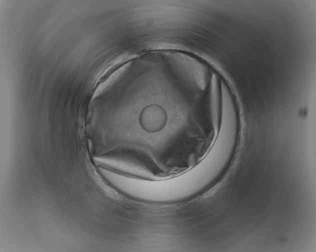 X0000113630897200910091553