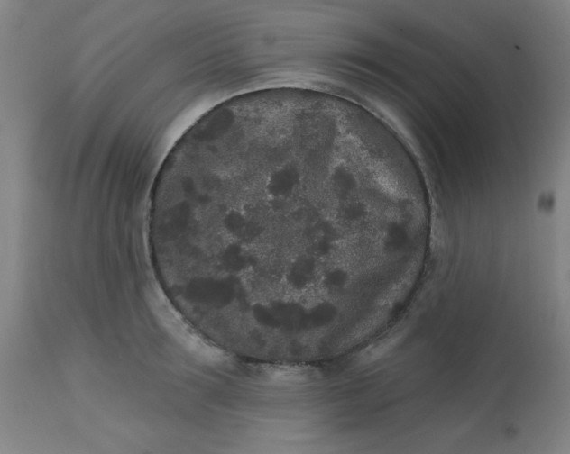 X0000113630899200910091553