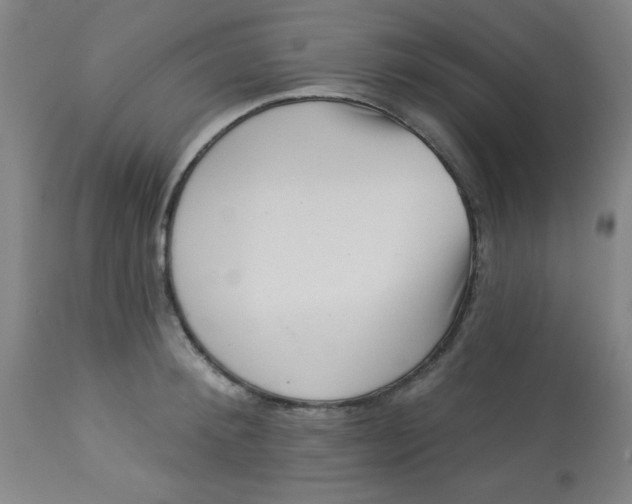 X0000113630900200910091553