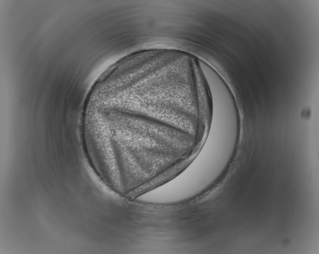 X0000113630901200910091553