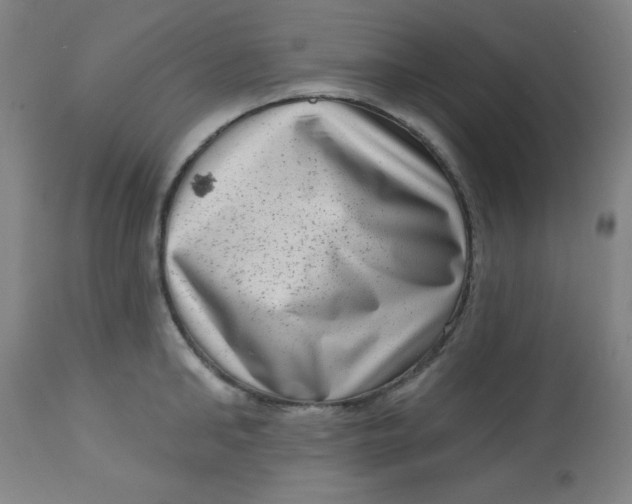X0000113630902200910091553