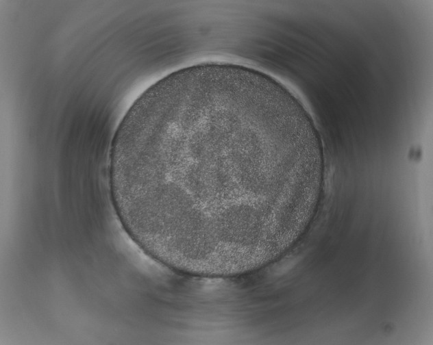 X0000113630903200910091553