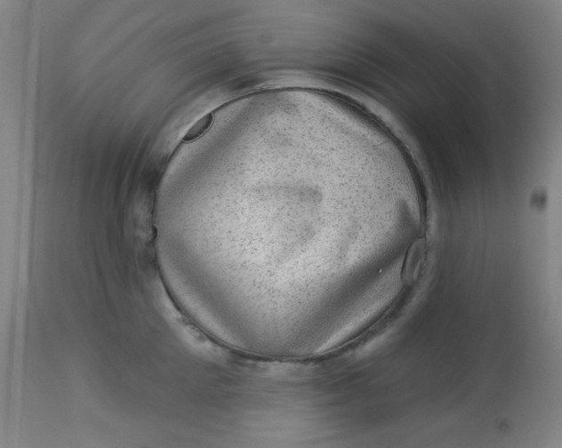 X0000113630905200910091553