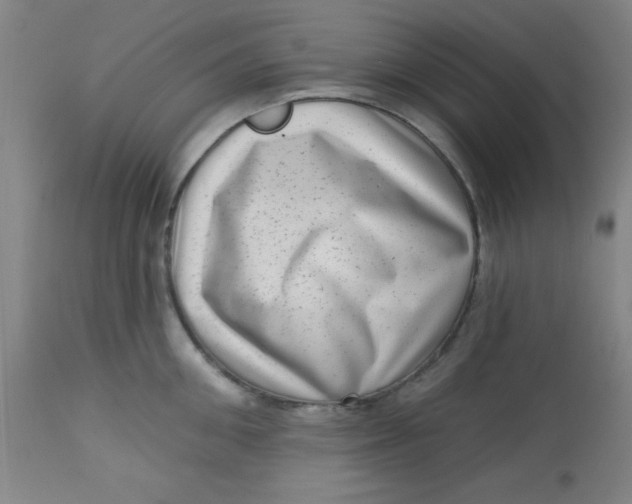 X0000113630906200910091553
