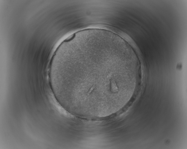 X0000113630908200910091553