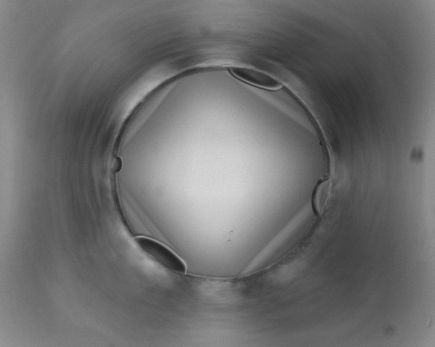 X0000113630909200910091553
