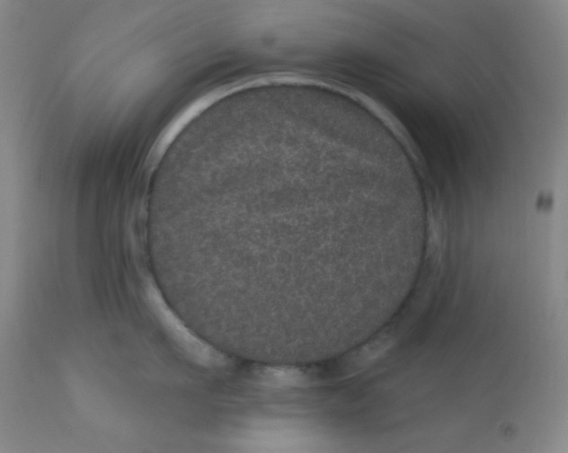 X0000113630911200910091553
