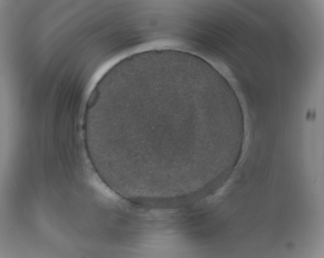 X0000113630912200910091553