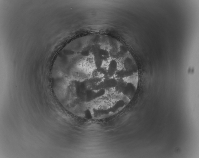 X0000113630913200910091552