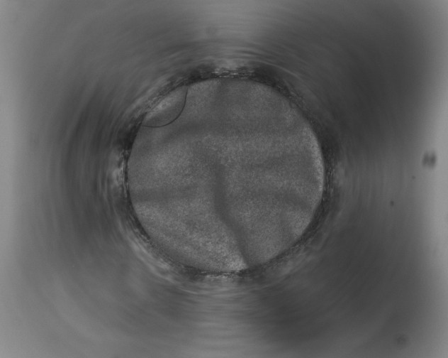 X0000113630914200910091552