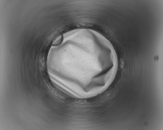 X0000113630915200910091552