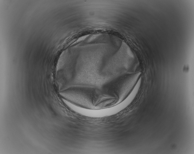 X0000113630916200910091552