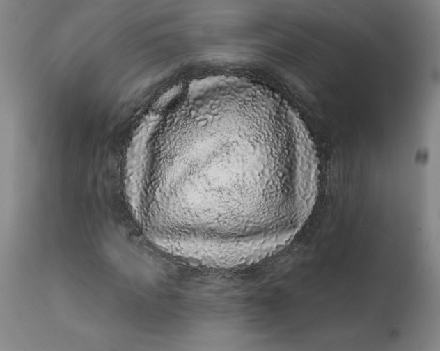 X0000113630917200910091552