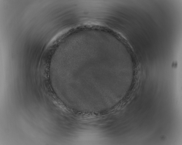 X0000113630919200910091552