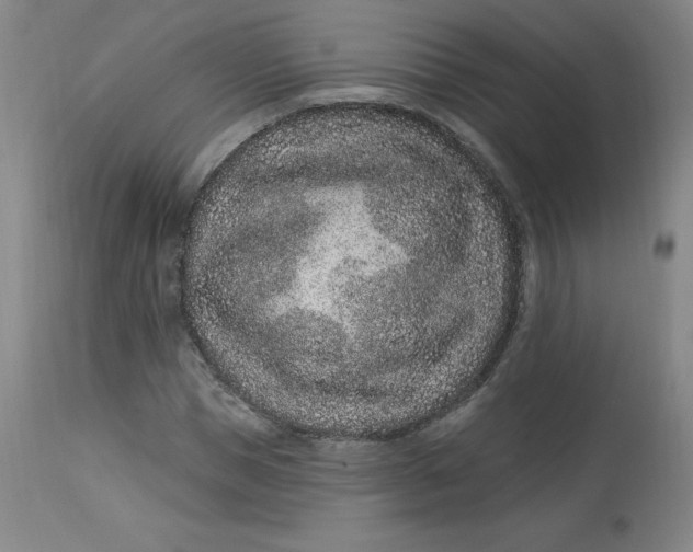 X0000113630921200910091552