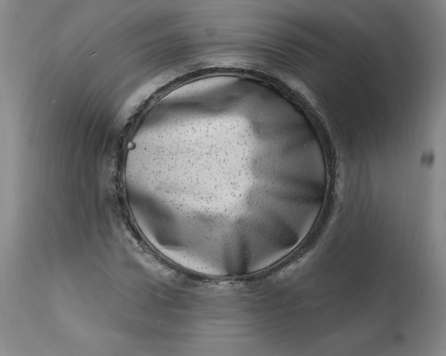 X0000113630922200910091552