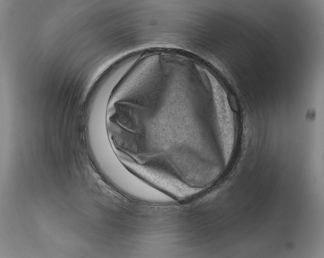 X0000113630926200910091552