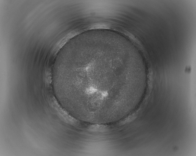 X0000113630929200910091553