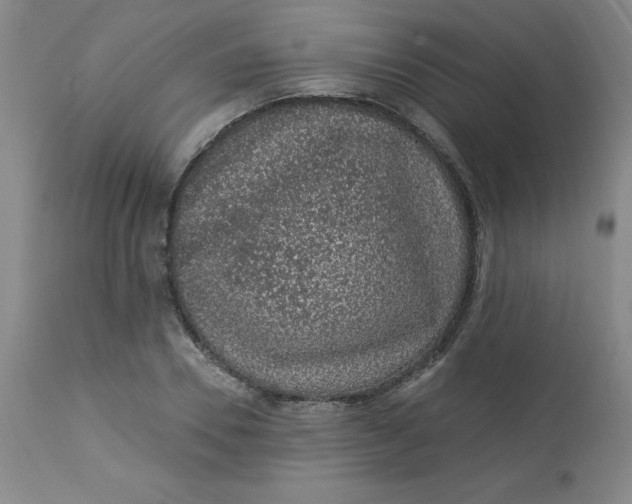 X0000113630930200910091553