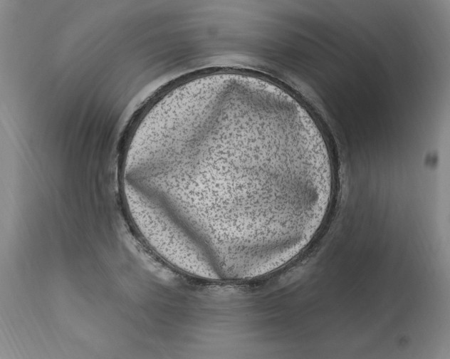 X0000113630931200910091553