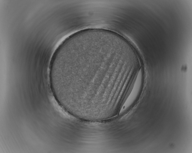 X0000113630932200910091553