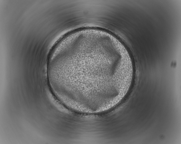X0000113630934200910091553
