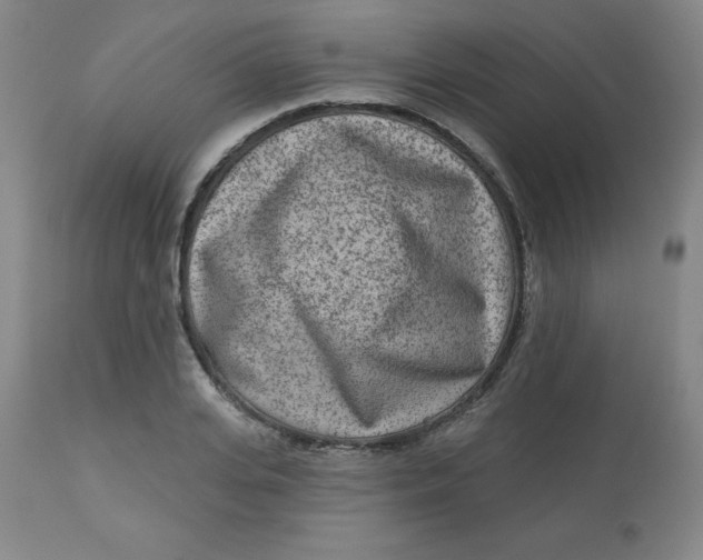 X0000113630935200910091553