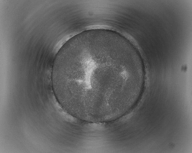 X0000113630937200910091553