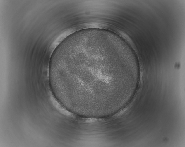 X0000113630938200910091553