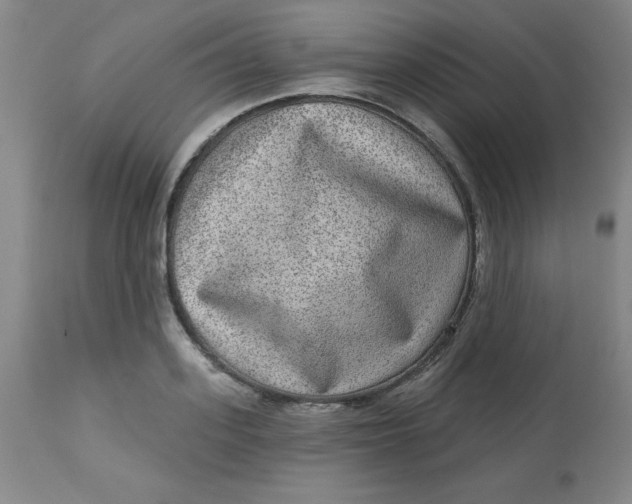 X0000113630939200910091553