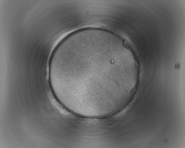 X0000113630940200910091553