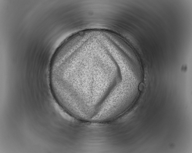X0000113630942200910091553