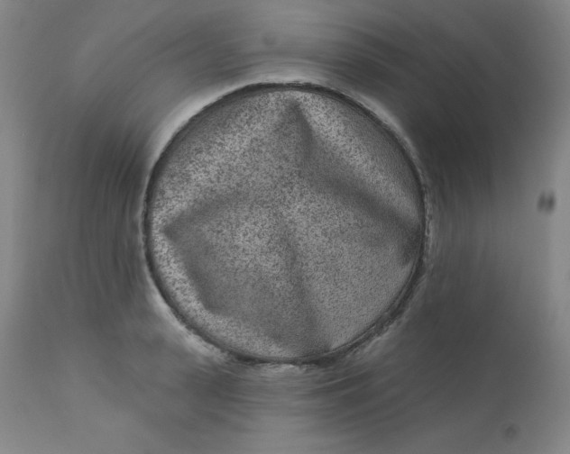X0000113630943200910091553