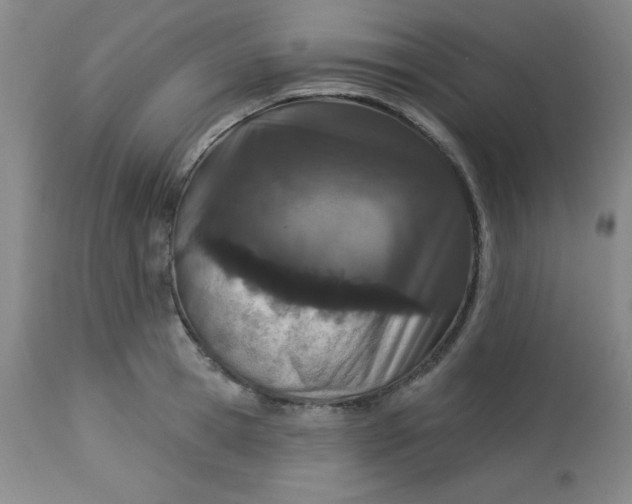 X0000113630945200910091553