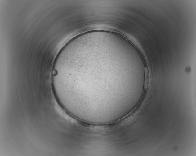 X0000113630946200910091553