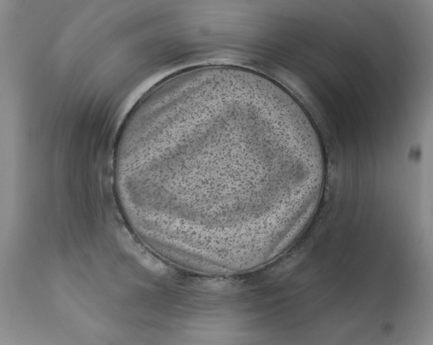 X0000113630948200910091553
