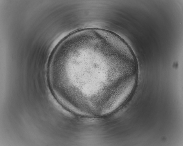 X0000113630949200910091553