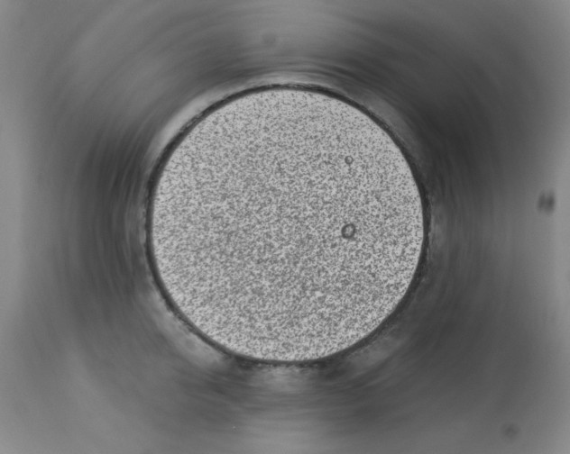 X0000113630950200910091553