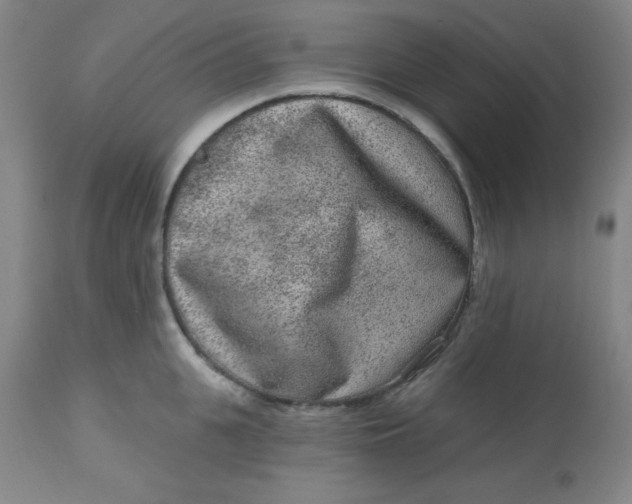X0000113630951200910091553