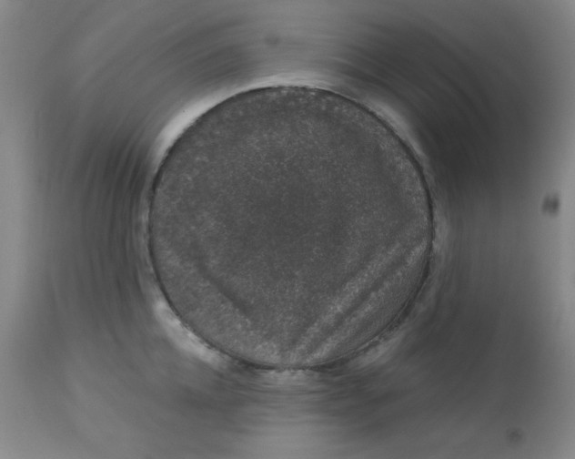 X0000113630952200910091553