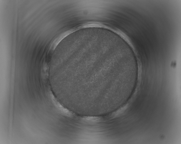 X0000113630953200910091553